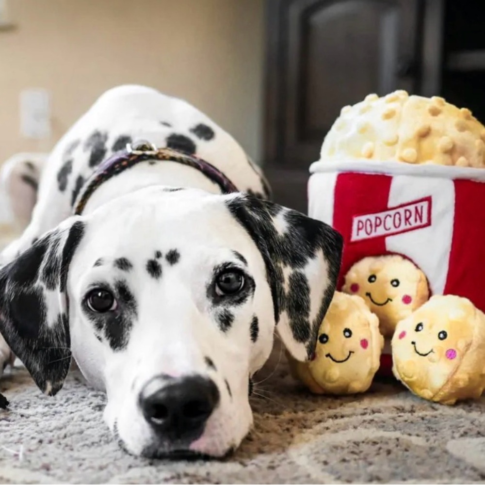 Fun Popcorn Dog Toy Set - Red and White